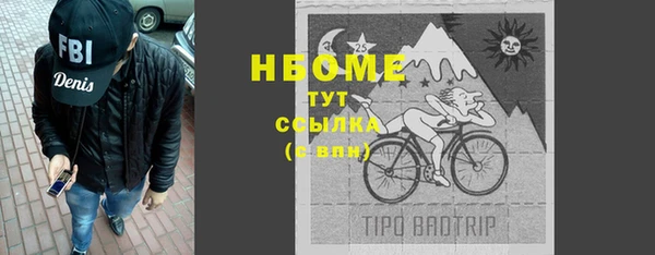 прущий лед Алзамай