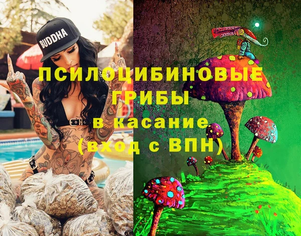 2c-b Армянск